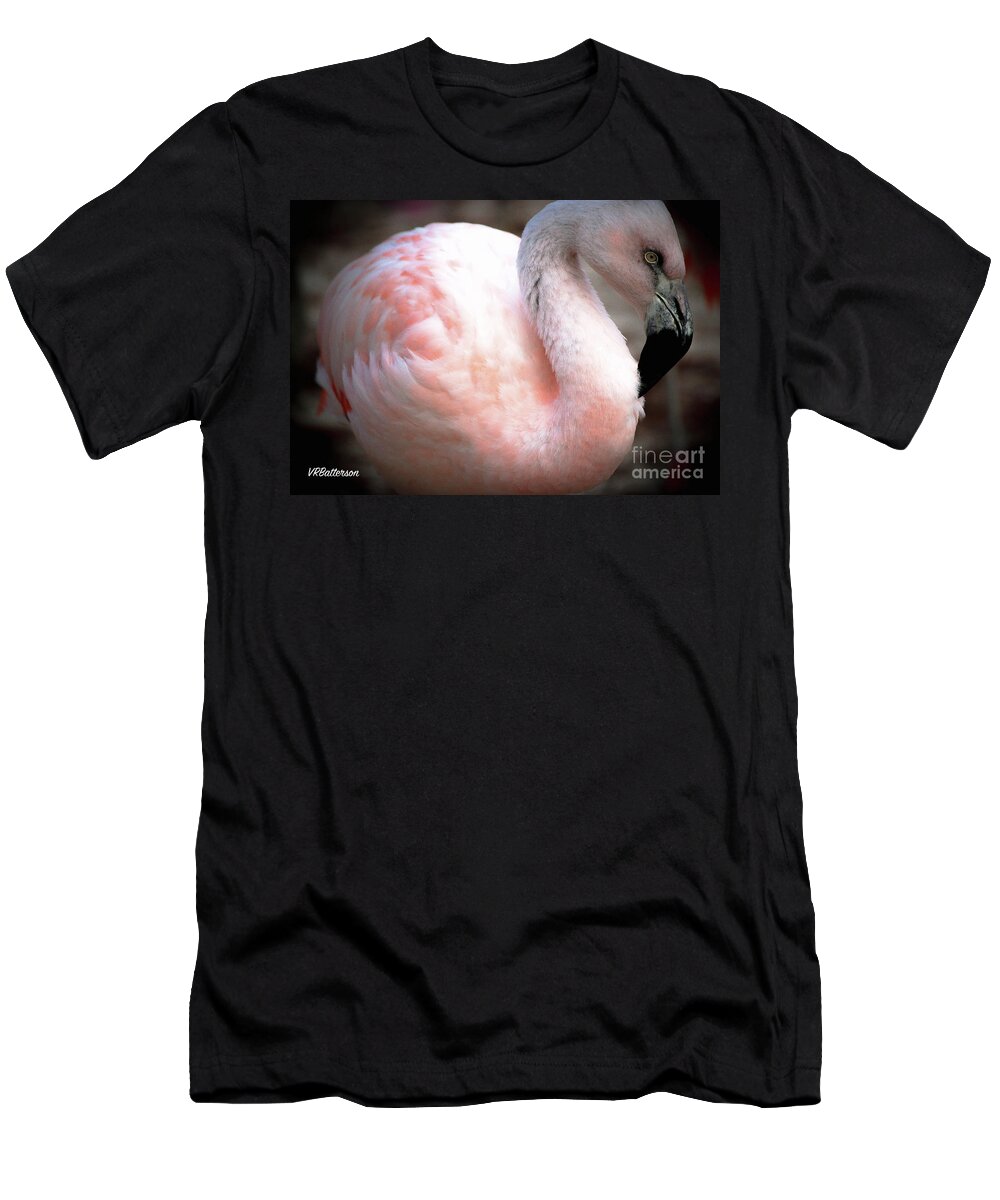 Flamingo T-Shirt featuring the photograph Flamingo Two Memphis Zoo by Veronica Batterson