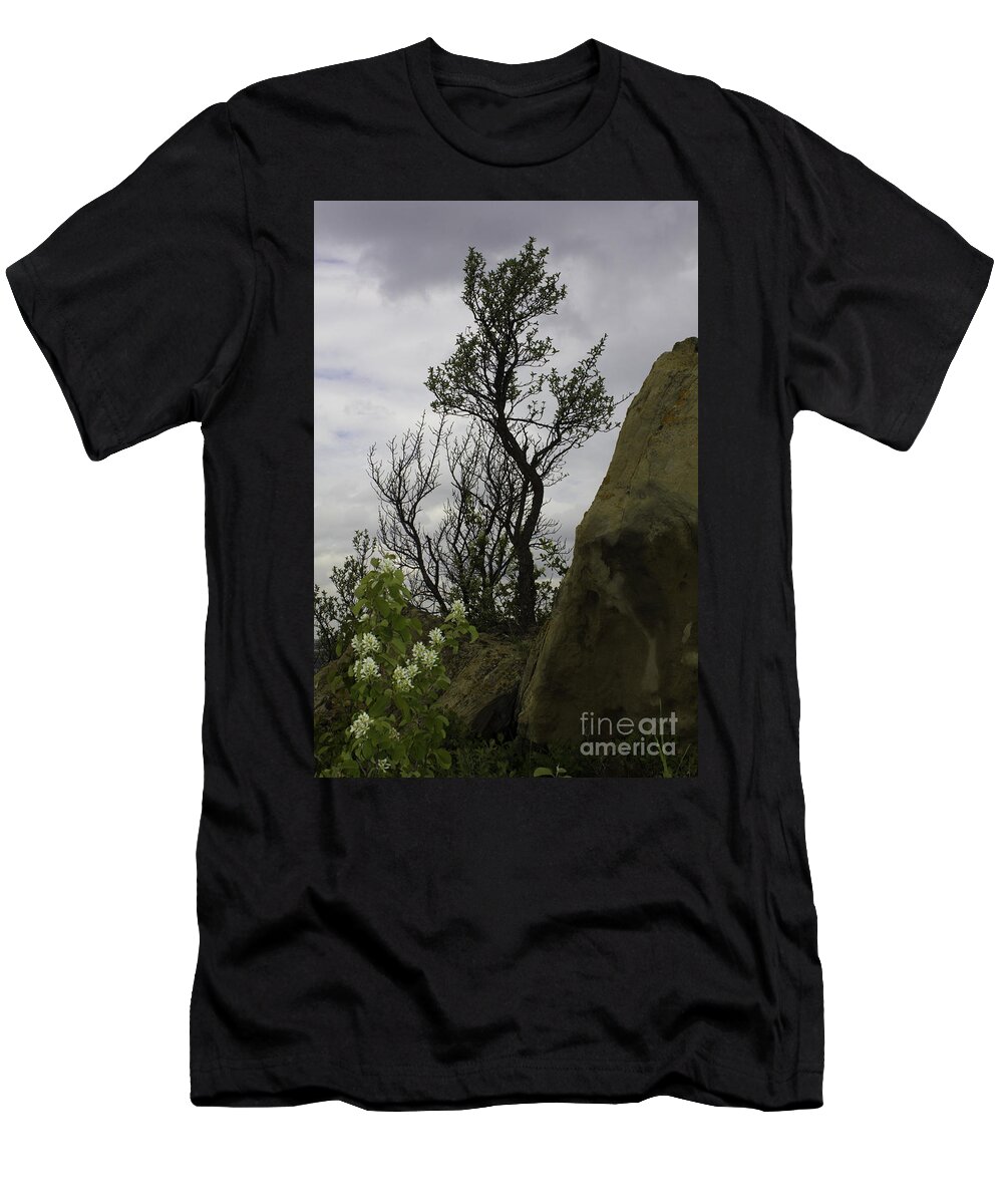 New Florals T-Shirt featuring the photograph Flora and Tree by Donna L Munro