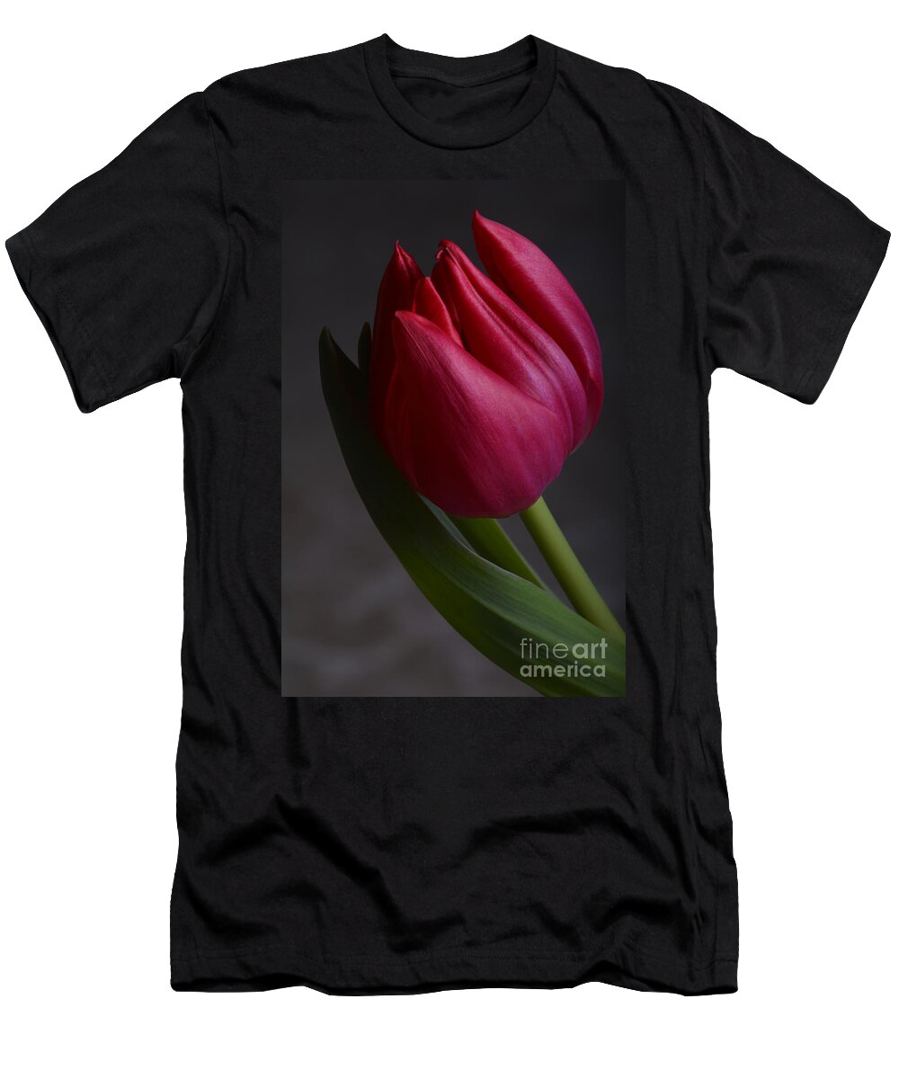 Flower T-Shirt featuring the photograph Flourishing tulip by Robert WK Clark