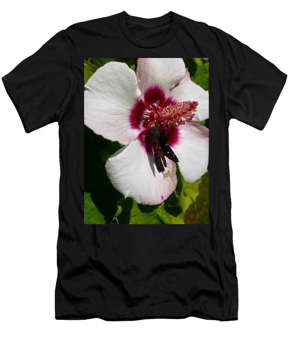 Animal T-Shirt featuring the photograph Flower and the Butterfly by Cesar Vieira