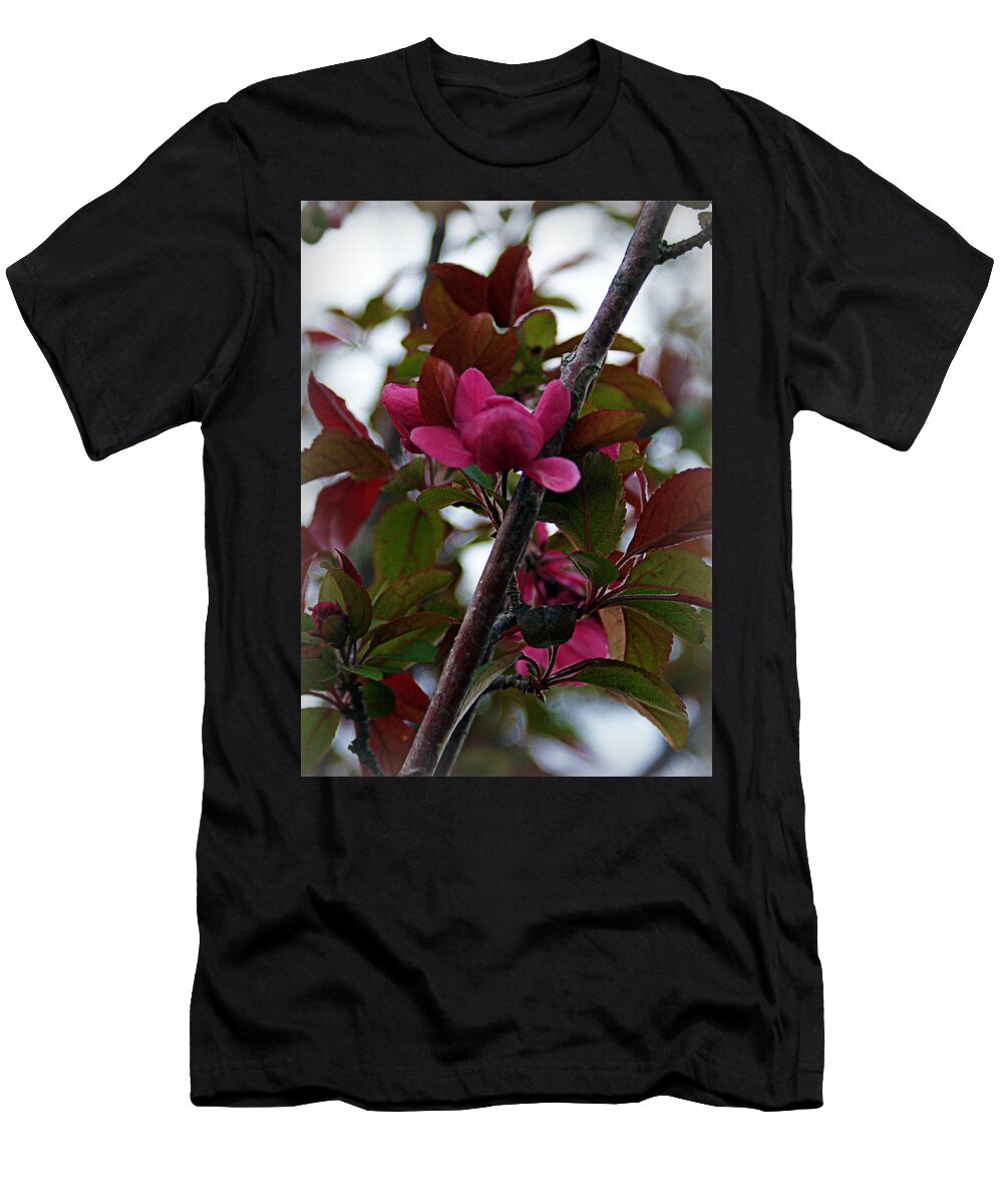 Flowers T-Shirt featuring the photograph Flowering Crabapple by Cricket Hackmann