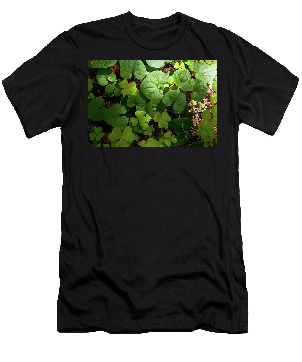 Forest T-Shirt featuring the photograph Forest Floor by Andrew Kumler