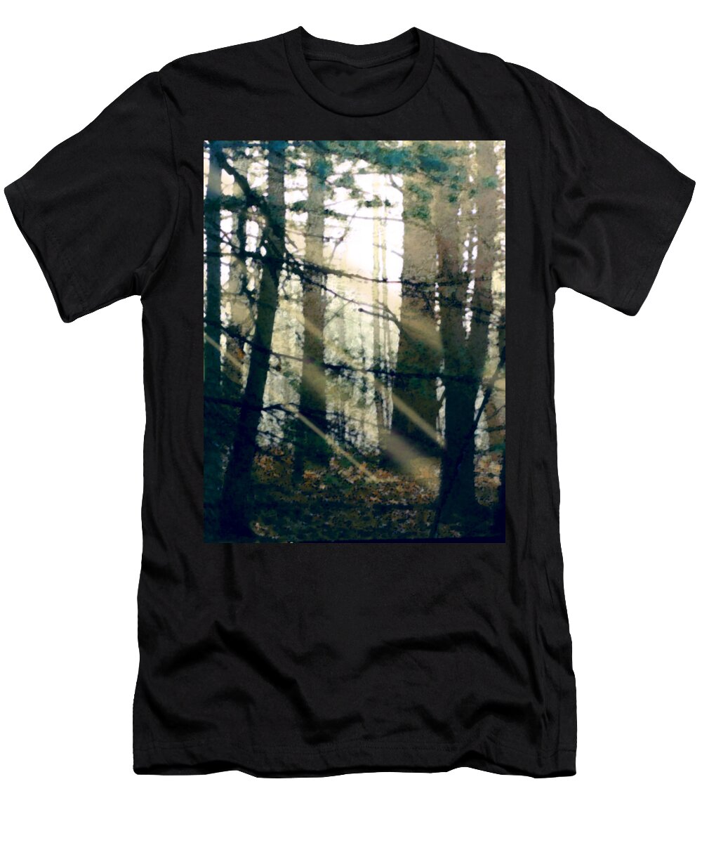 Forest T-Shirt featuring the painting Forest Sunrise by Paul Sachtleben