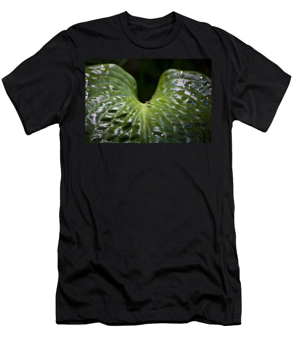 Hosta T-Shirt featuring the photograph Getting a Drink by Teresa Mucha