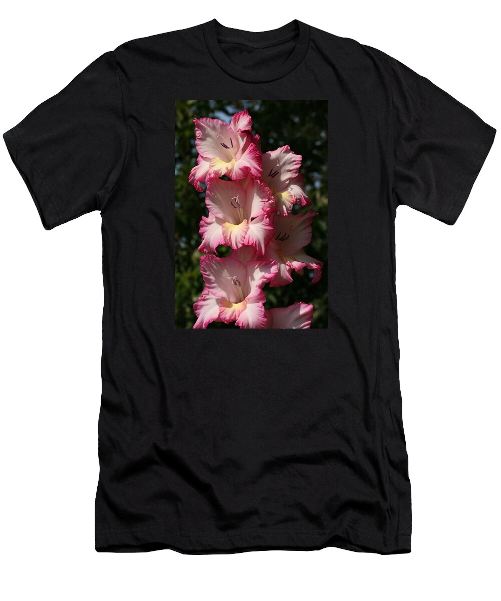 Gladiolus T-Shirt featuring the photograph Gladiolus Parfait by Tammy Pool
