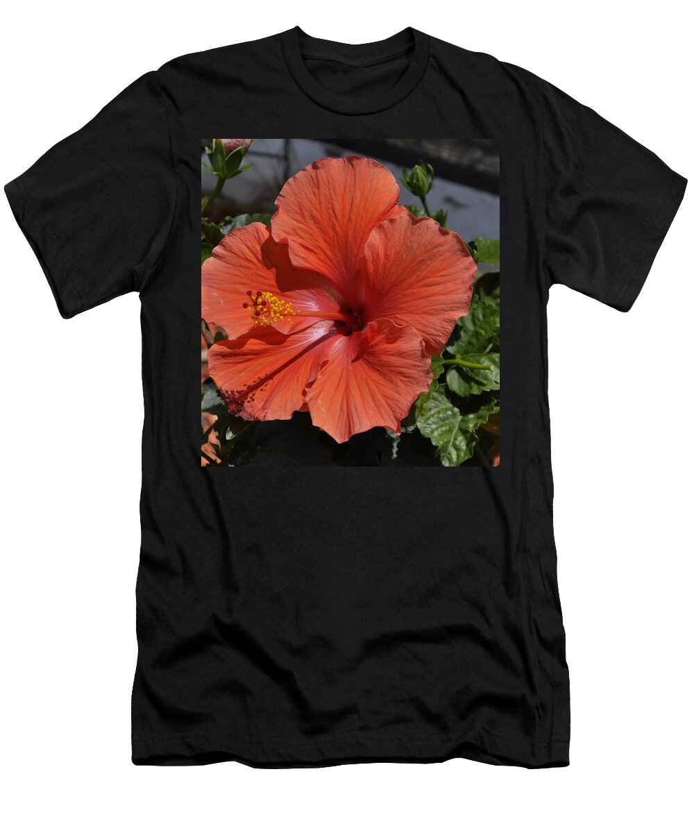 Red T-Shirt featuring the photograph Glorious Hibiscus by Sandy Poore