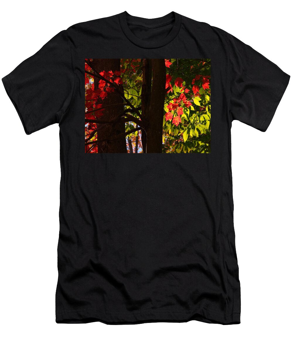 Nature T-Shirt featuring the photograph Glowing Leaves by Dorothy Lee