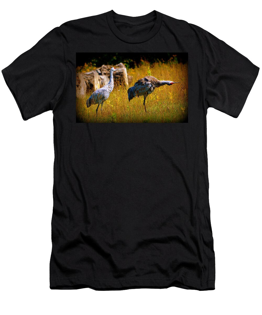  T-Shirt featuring the photograph Go This Way by Kimberly Woyak