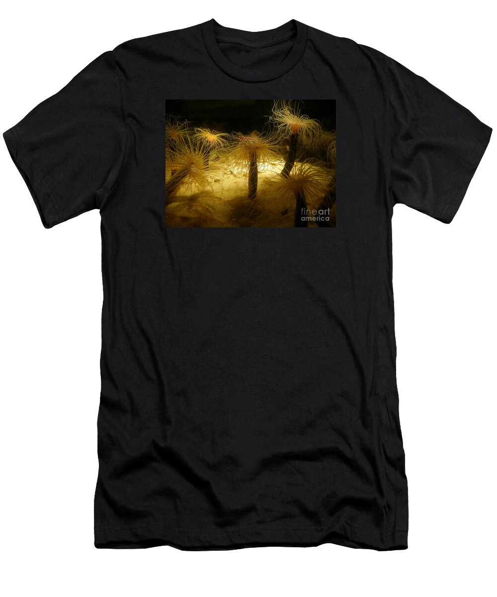 Sea Anemones T-Shirt featuring the photograph Gold Sea Anemones by Bev Conover