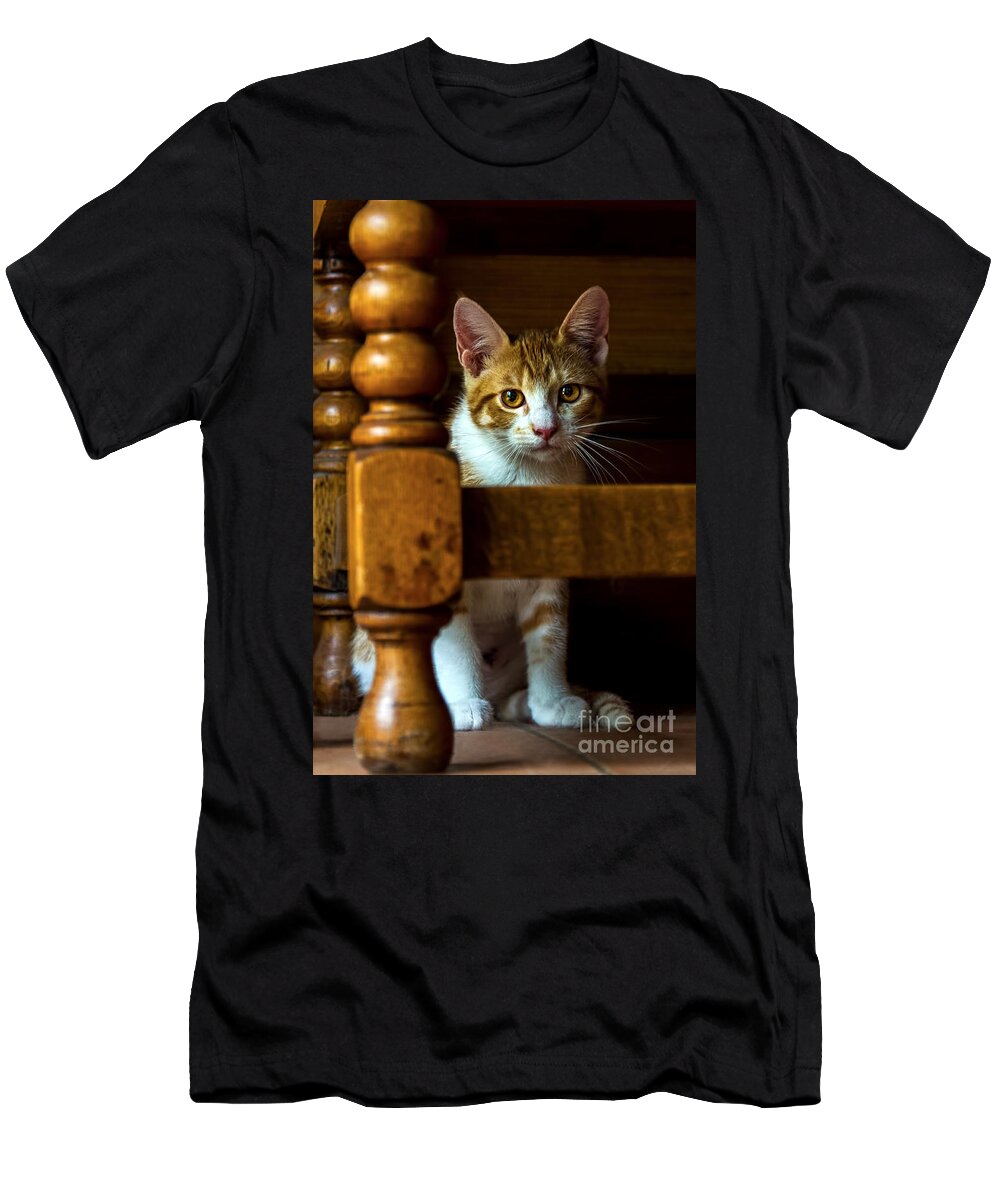 Goldeneye T-Shirt featuring the photograph Golden Eyes by Gary Holmes