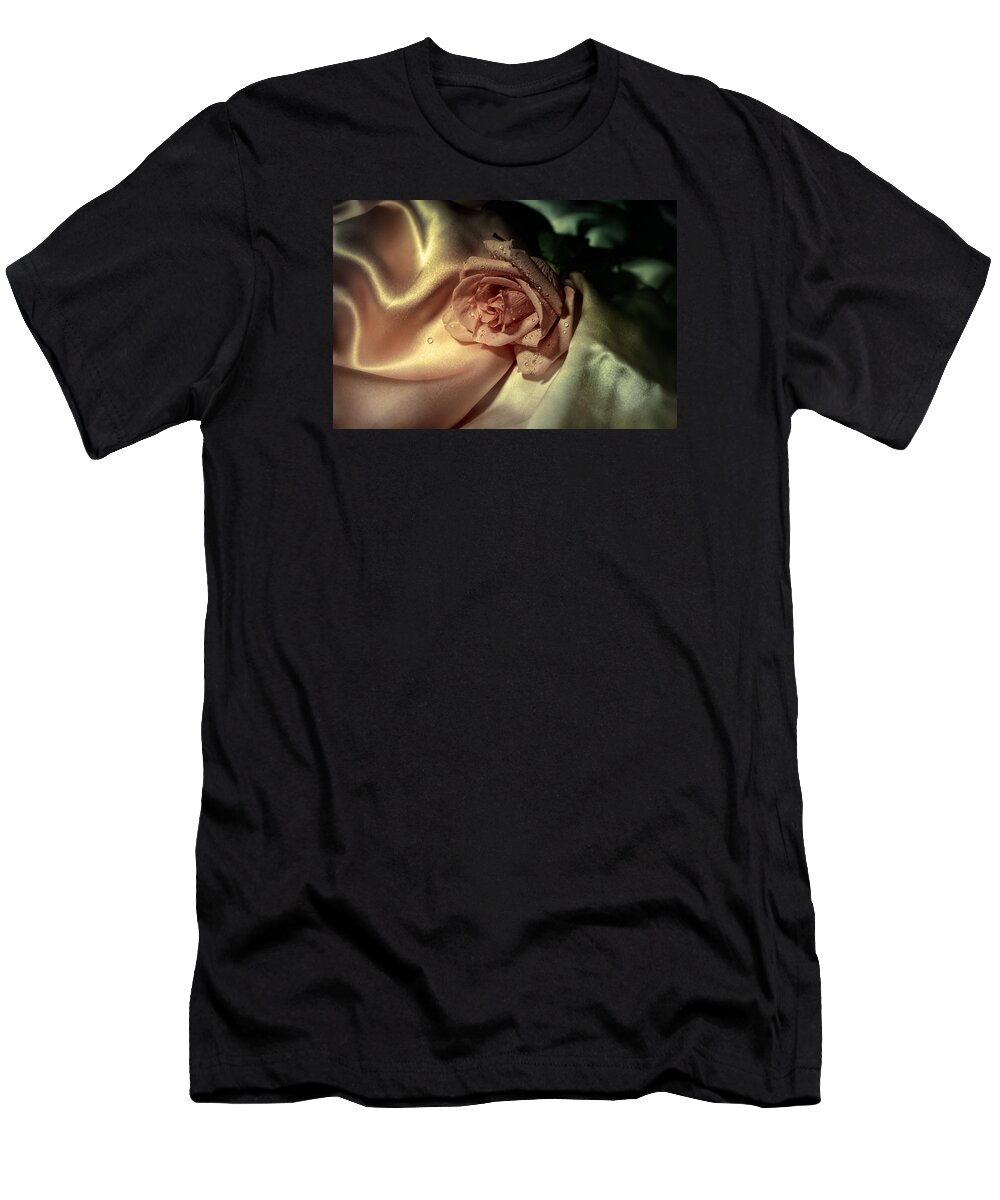 Rose T-Shirt featuring the photograph Golden light over Rose by Lilia S