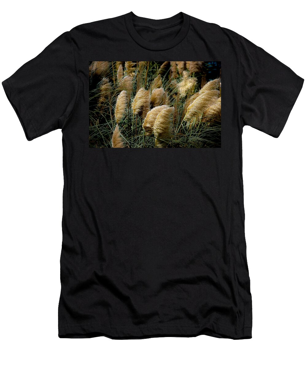 Pampas T-Shirt featuring the photograph Golden Pampas in the Wind by DigiArt Diaries by Vicky B Fuller
