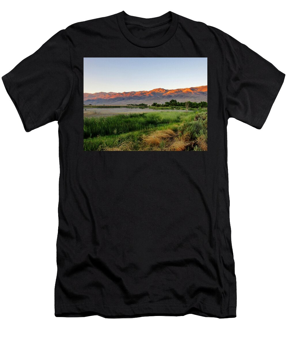 Nature T-Shirt featuring the photograph Golden Sun by Marilyn Diaz
