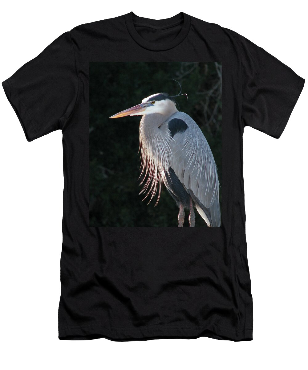 Nature T-Shirt featuring the photograph Great Blue at Rest by Peggy Urban