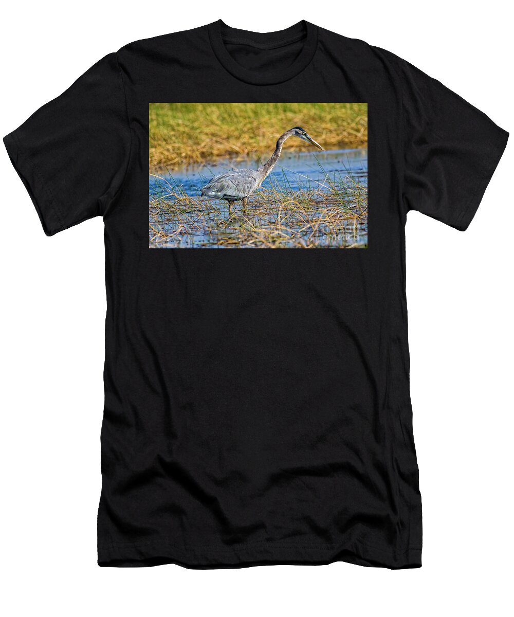 Herons T-Shirt featuring the photograph Great Blue Heron On The Hunt by DB Hayes