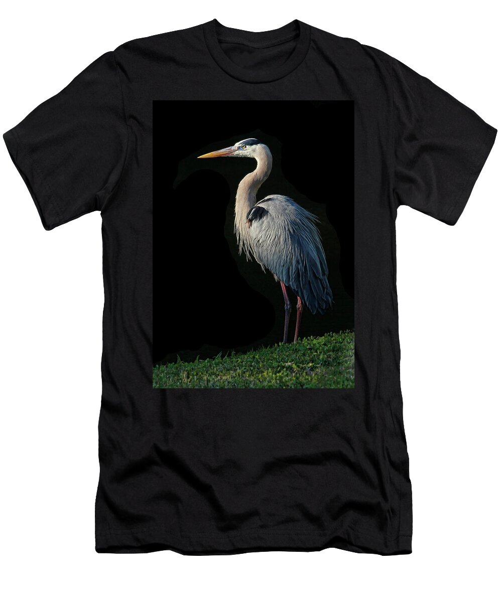 Wading Bird T-Shirt featuring the photograph Great Blue Heron Pose by HH Photography of Florida