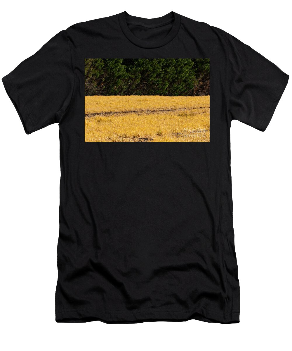 Fairplay T-Shirt featuring the photograph Green and Gold by Bob Phillips