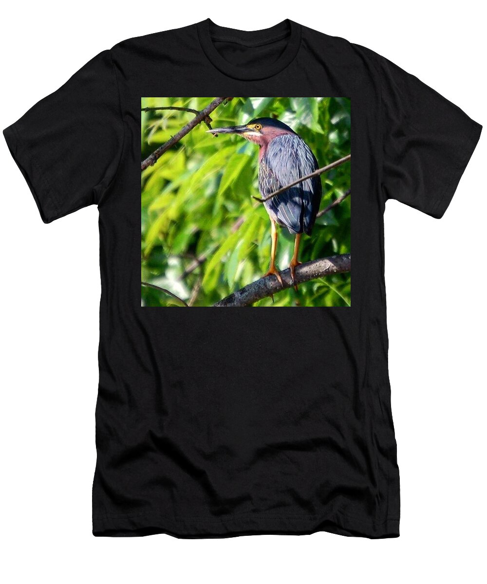 Birds T-Shirt featuring the photograph Green Heron by Sumoflam Photography