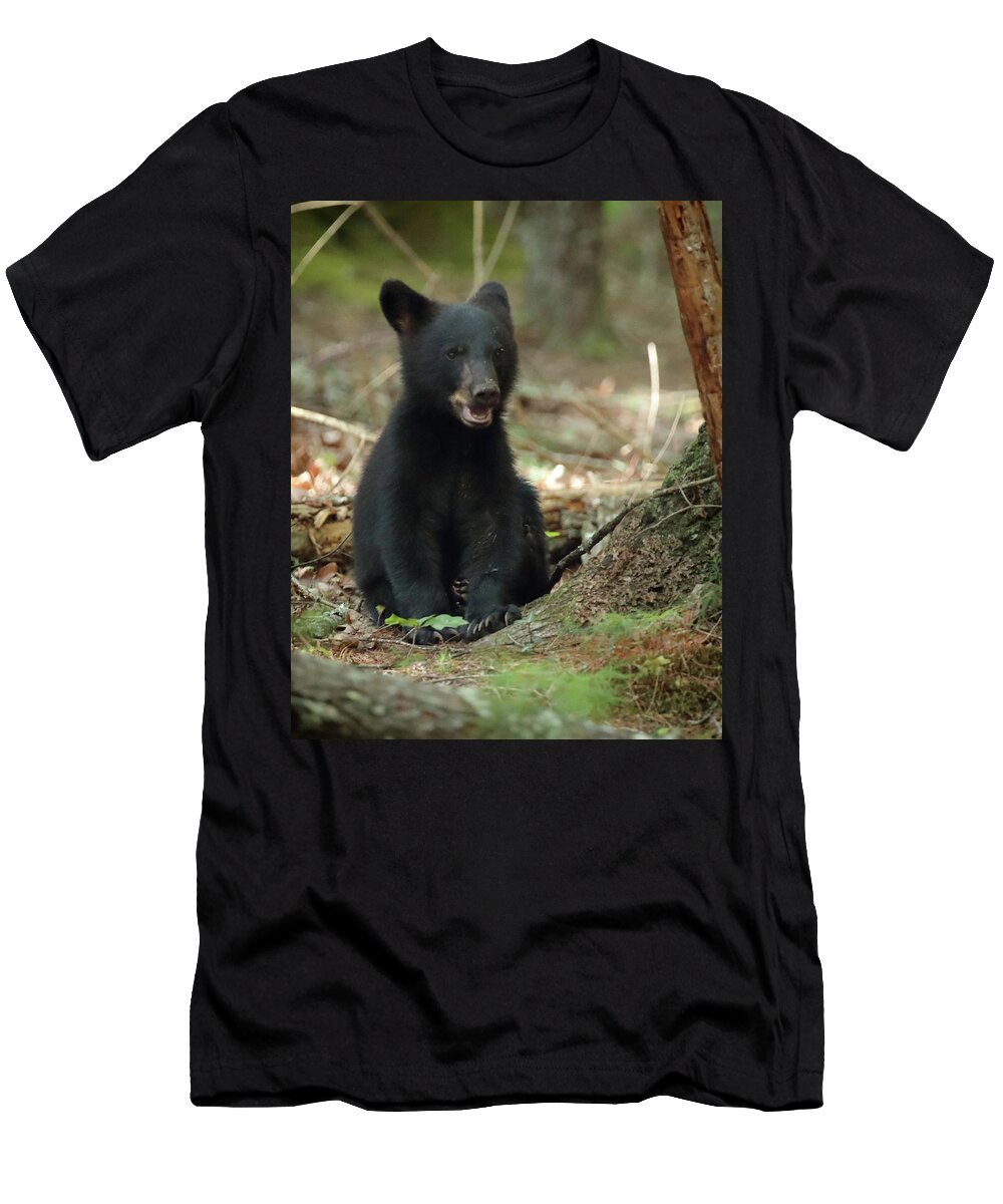 Black Bear T-Shirt featuring the photograph Have You Seen My Mother by Coby Cooper
