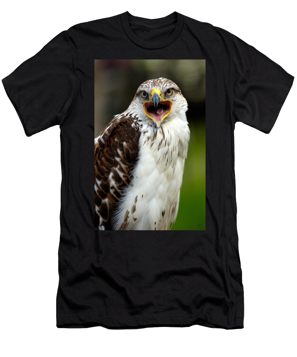 Hawk T-Shirt featuring the photograph Hawk by Doug Gibbons