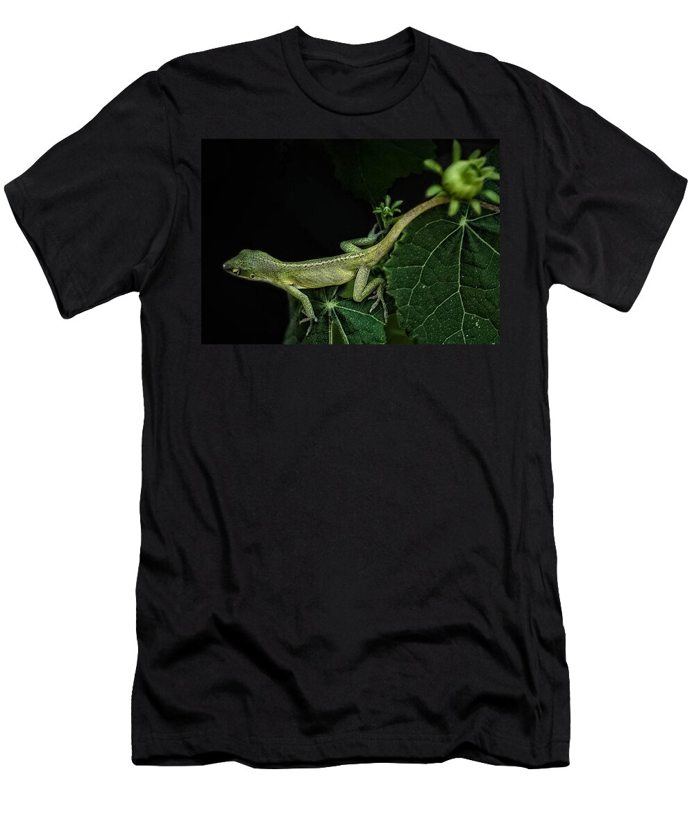 Lizard T-Shirt featuring the mixed media Here Lizard Lizard by Kim Henderson
