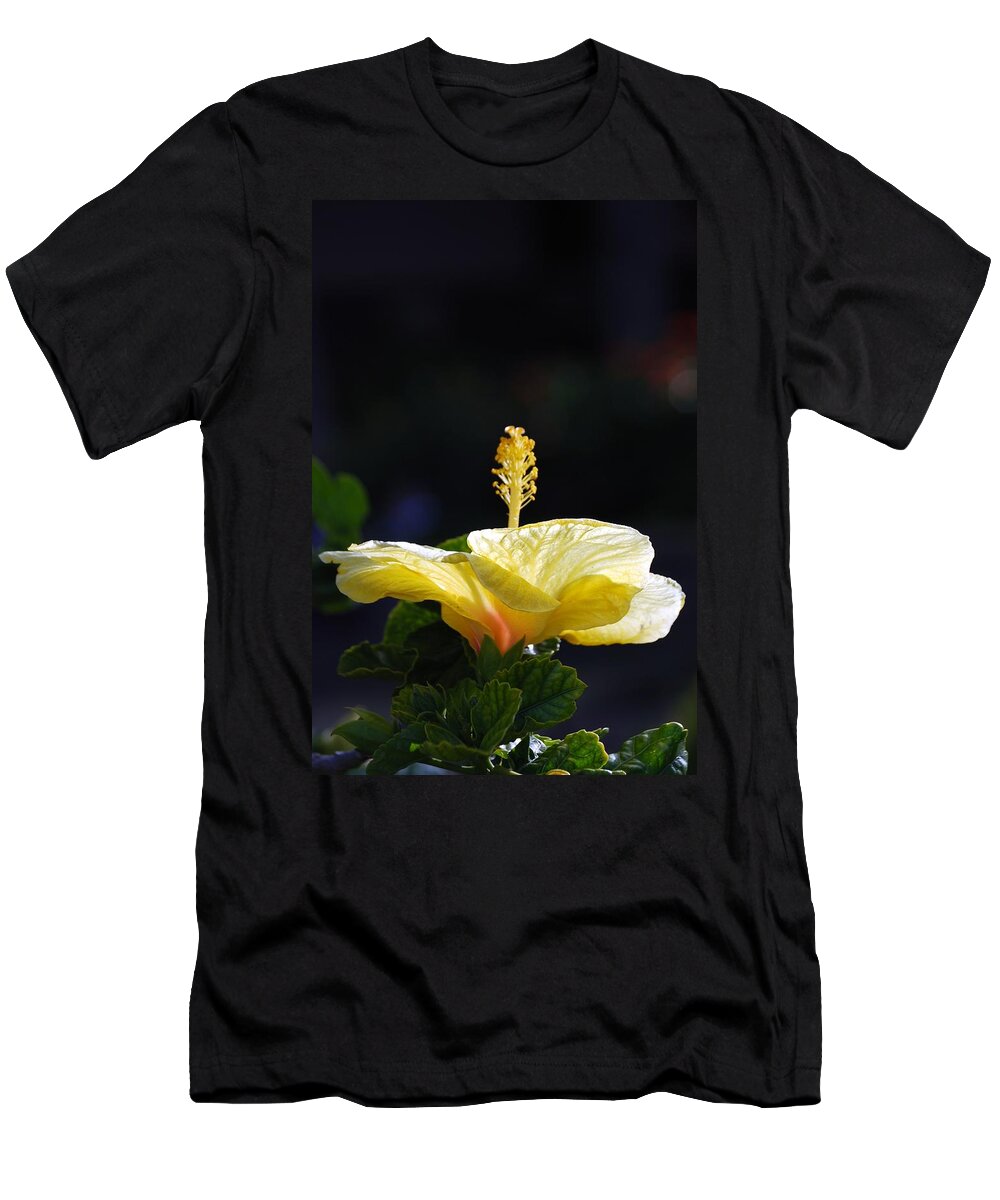Hibiscus T-Shirt featuring the photograph Hibiscus Morning by Debbie Karnes