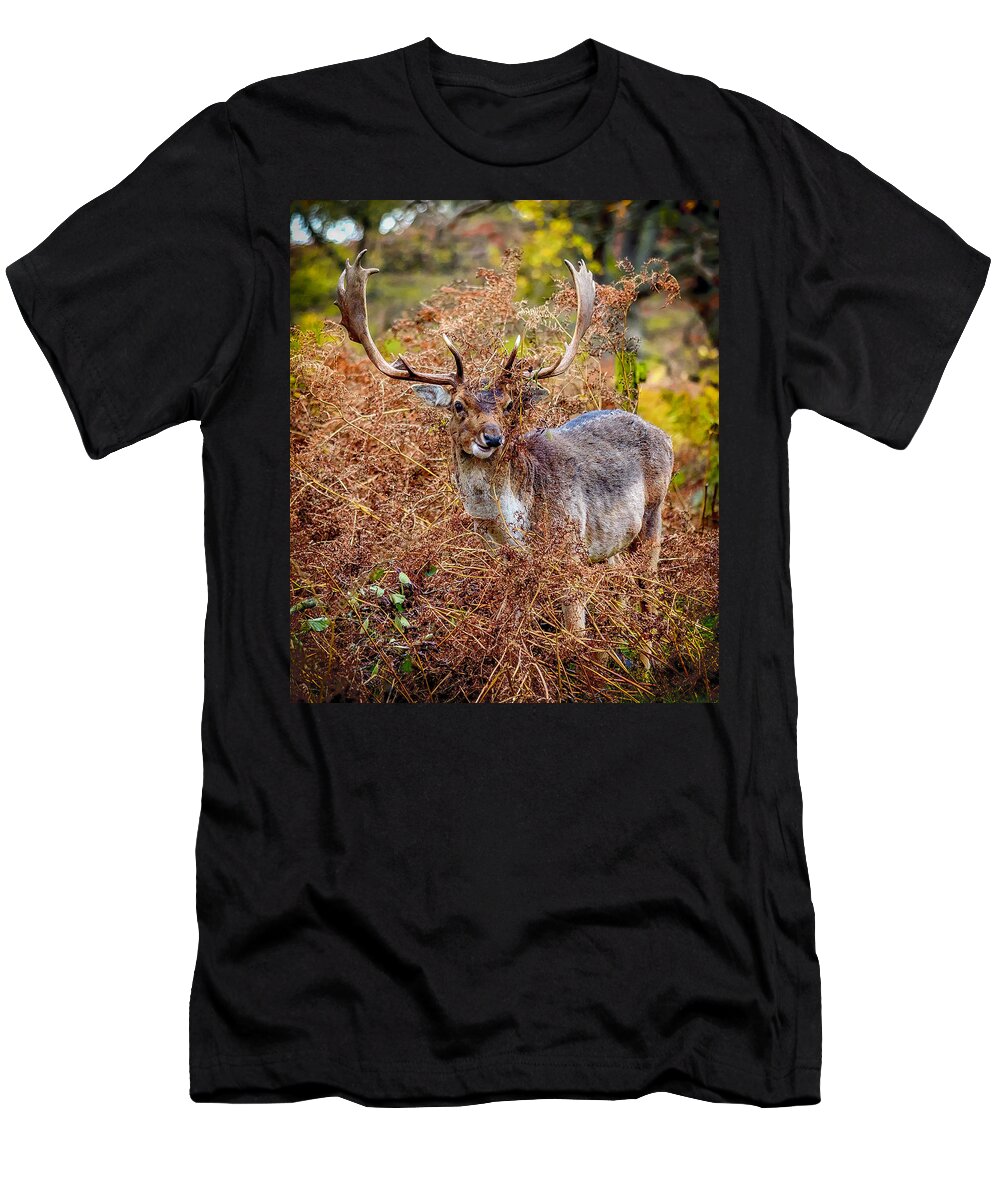 Deer T-Shirt featuring the photograph Hiding in the Bracken by Nick Bywater
