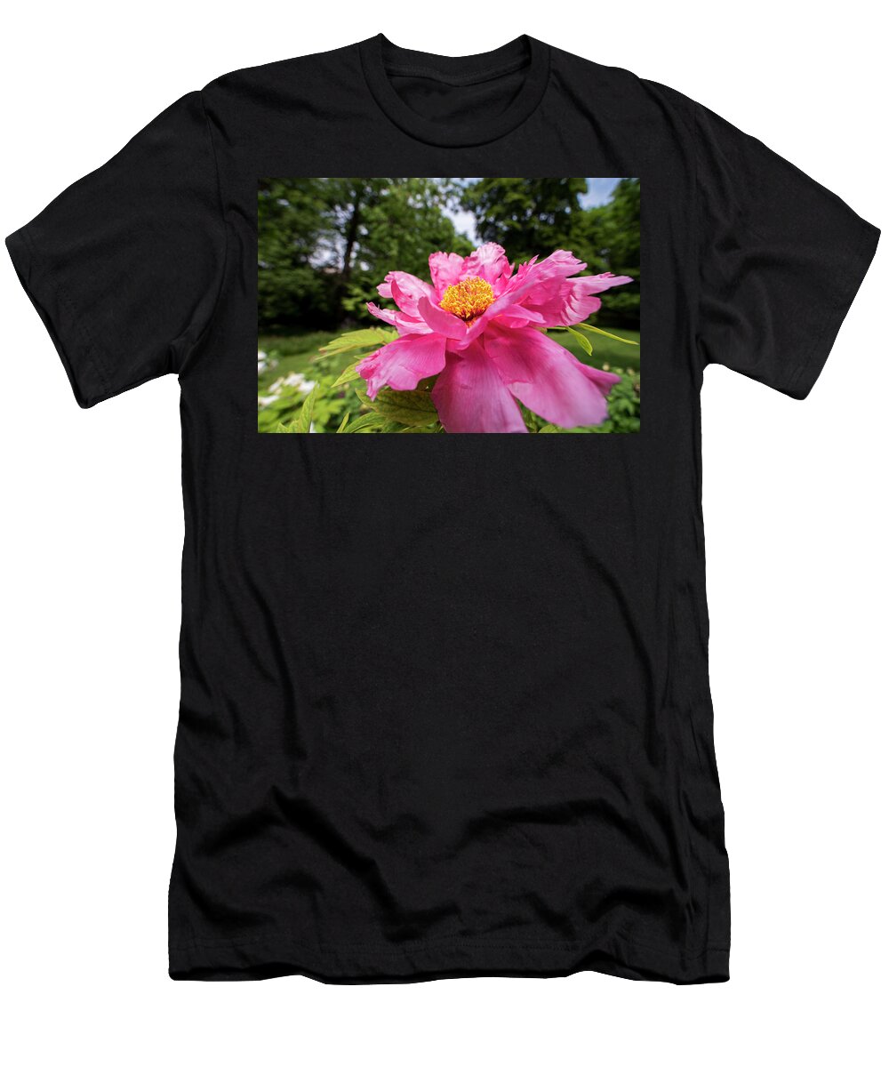 Highland T-Shirt featuring the photograph Highland Park Garden Rochester NY Purple Flower 2 by Toby McGuire