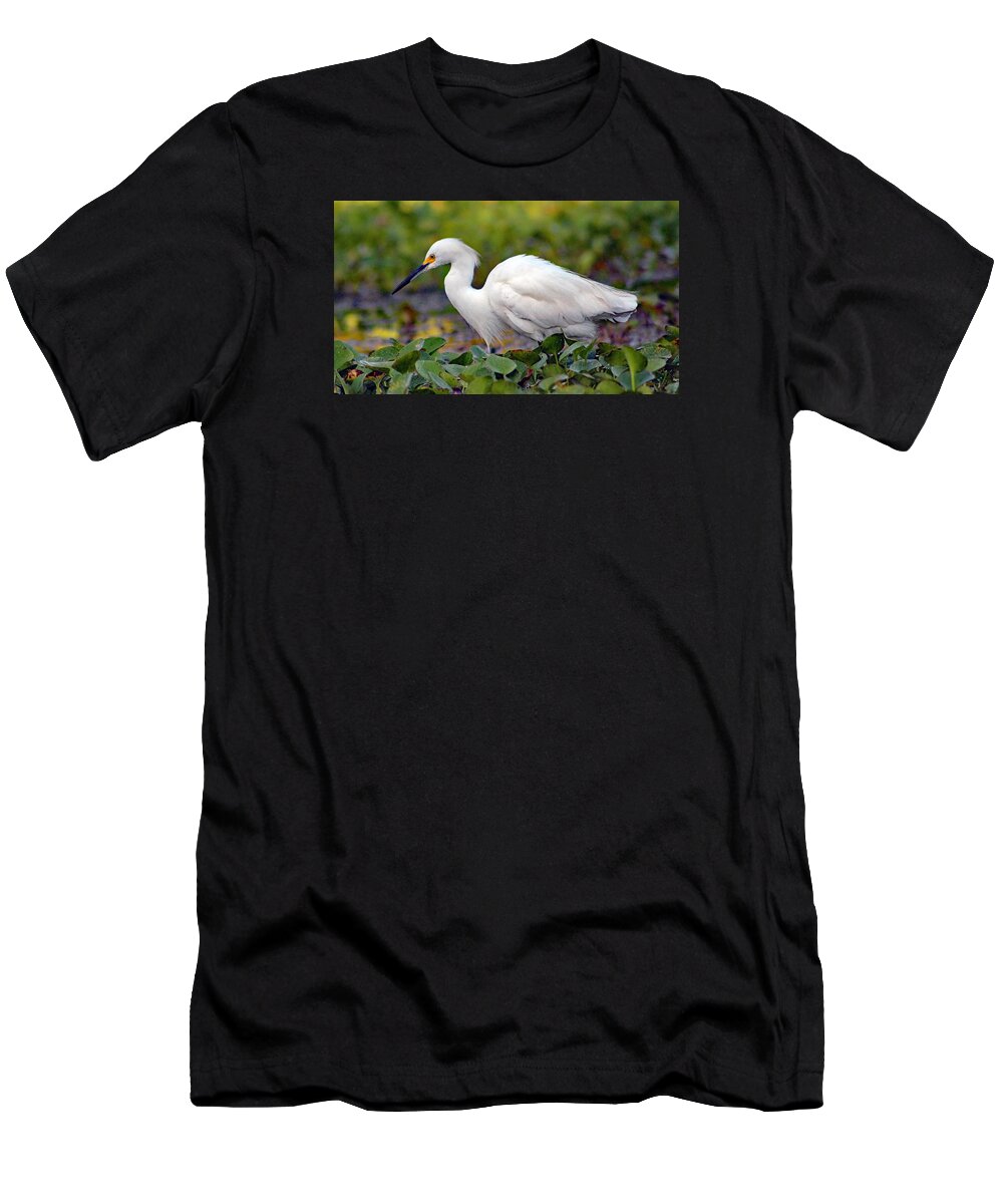 Nature T-Shirt featuring the photograph Hunting by DB Hayes