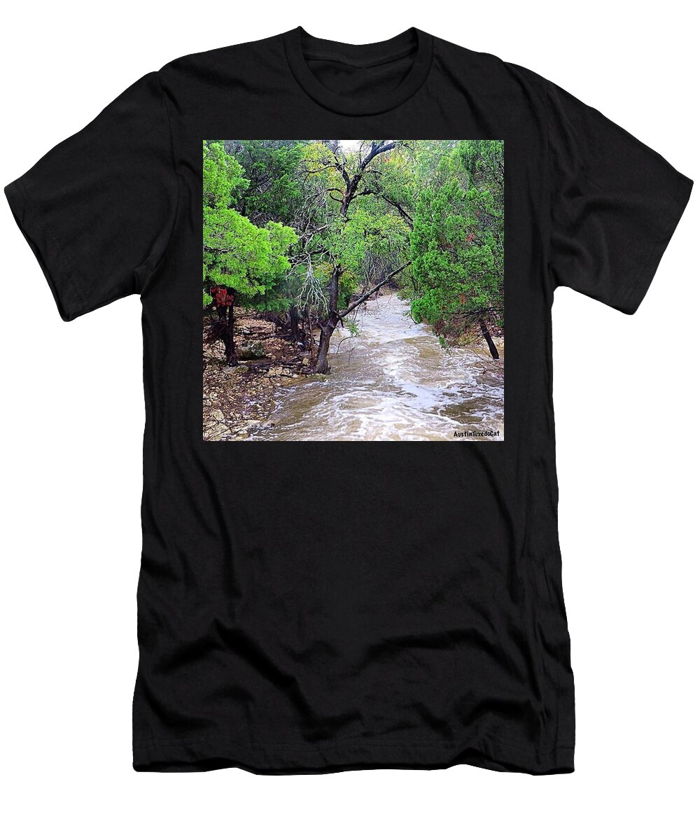 Raining T-Shirt featuring the photograph I Have The #rainyday Blues! by Austin Tuxedo Cat