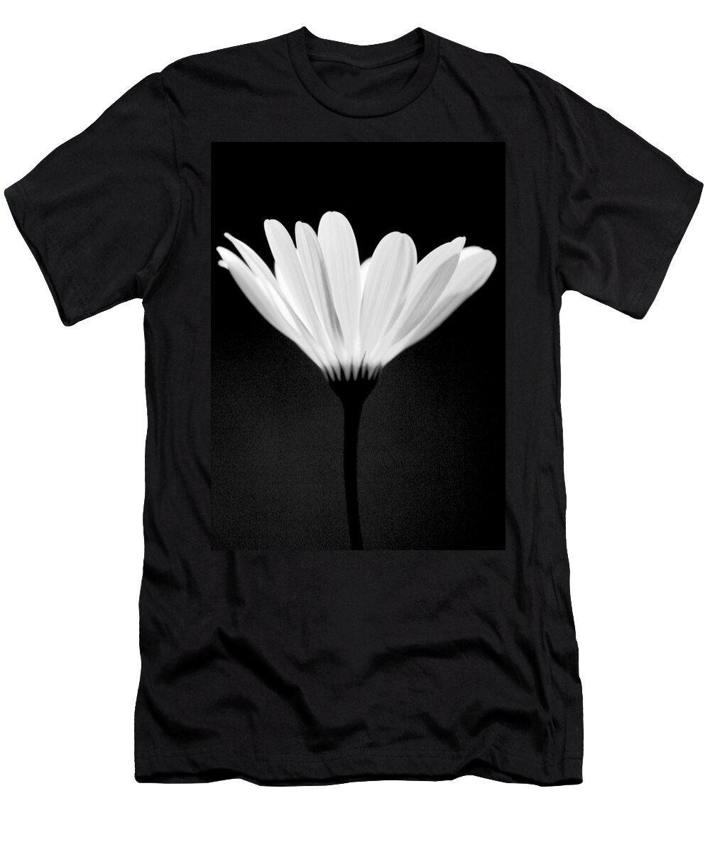 Flower T-Shirt featuring the photograph Illuminated Lady by Julie Lueders 