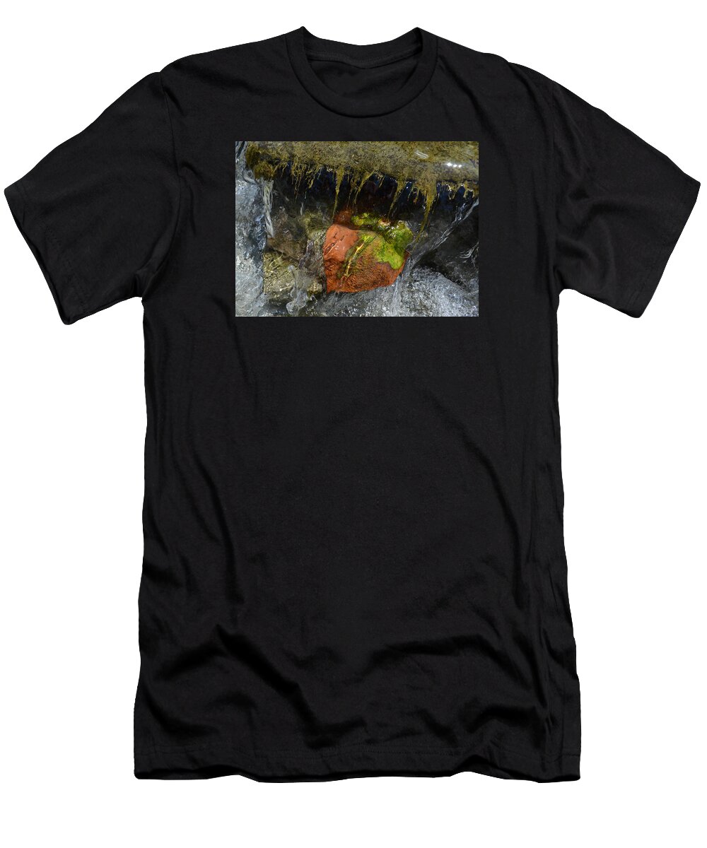 Leaf T-Shirt featuring the photograph Imperceptible Dissolution by Char Szabo-Perricelli