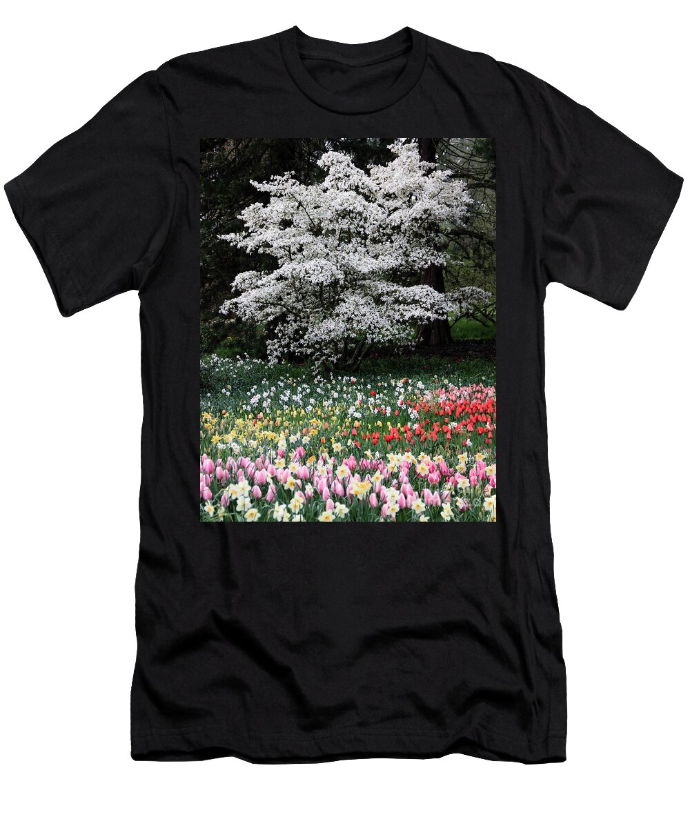 Landscape T-Shirt featuring the photograph In Bloom by Amy Sorvillo