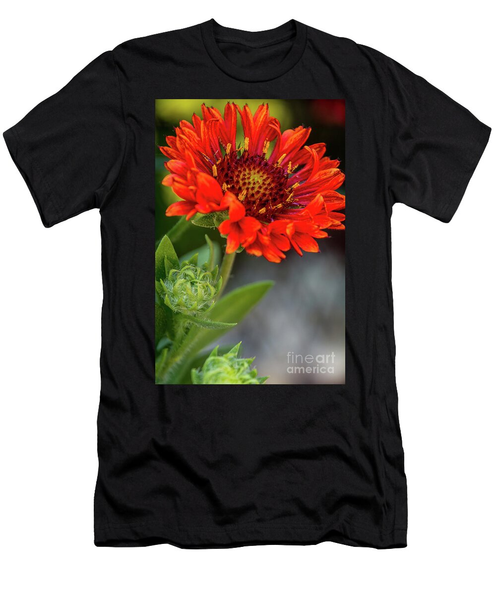 Green T-Shirt featuring the photograph In Bloom by Deborah Klubertanz