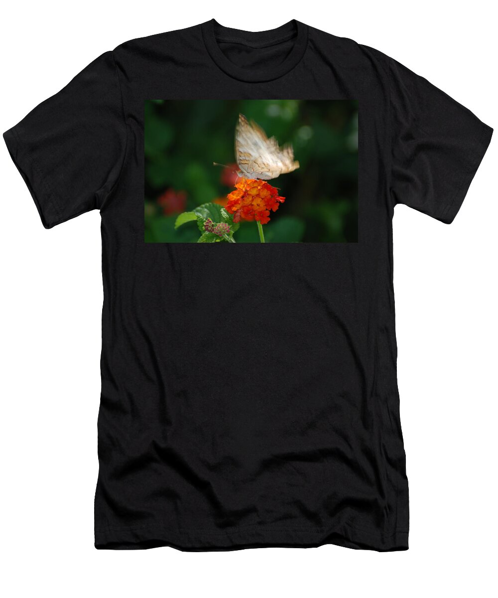 Butterfly T-Shirt featuring the photograph In Living Color by Rob Hans