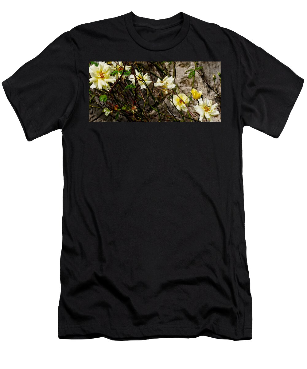 Roses T-Shirt featuring the photograph In opposite corners. by Elena Perelman