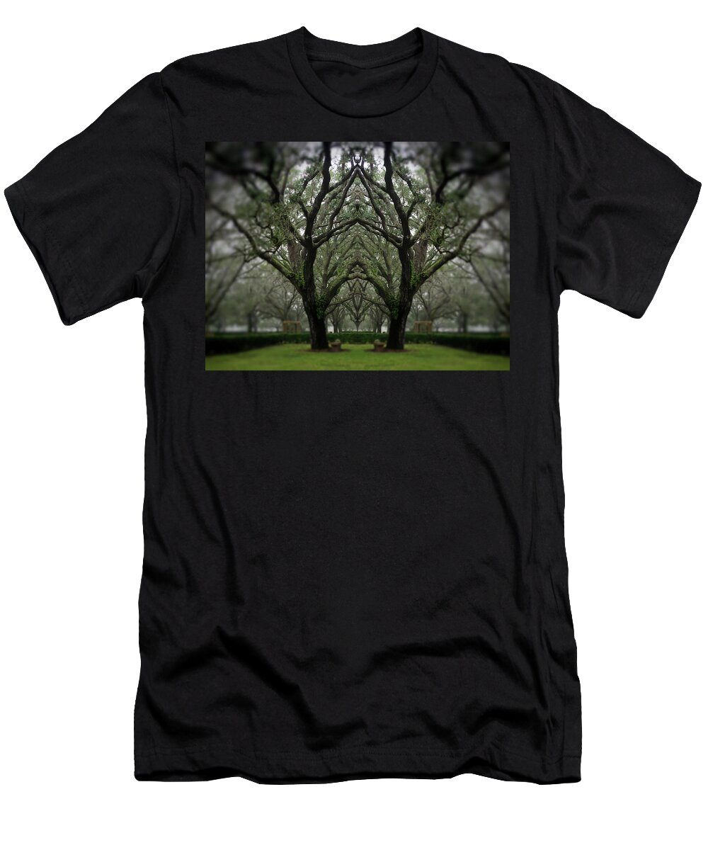  T-Shirt featuring the photograph Into the Mist by Stoney Lawrentz