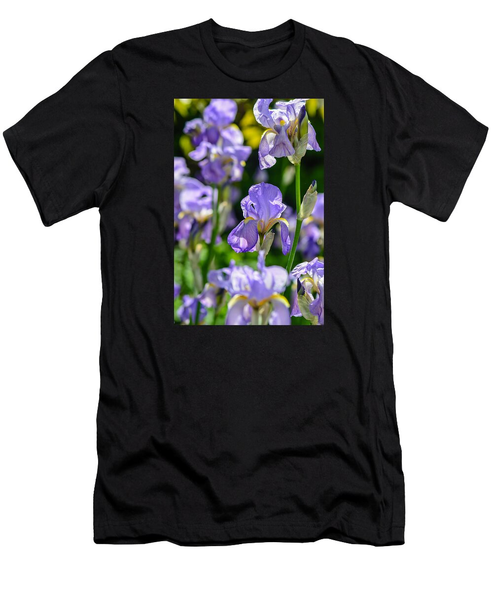 Purple T-Shirt featuring the photograph Irisses by Rainer Kersten