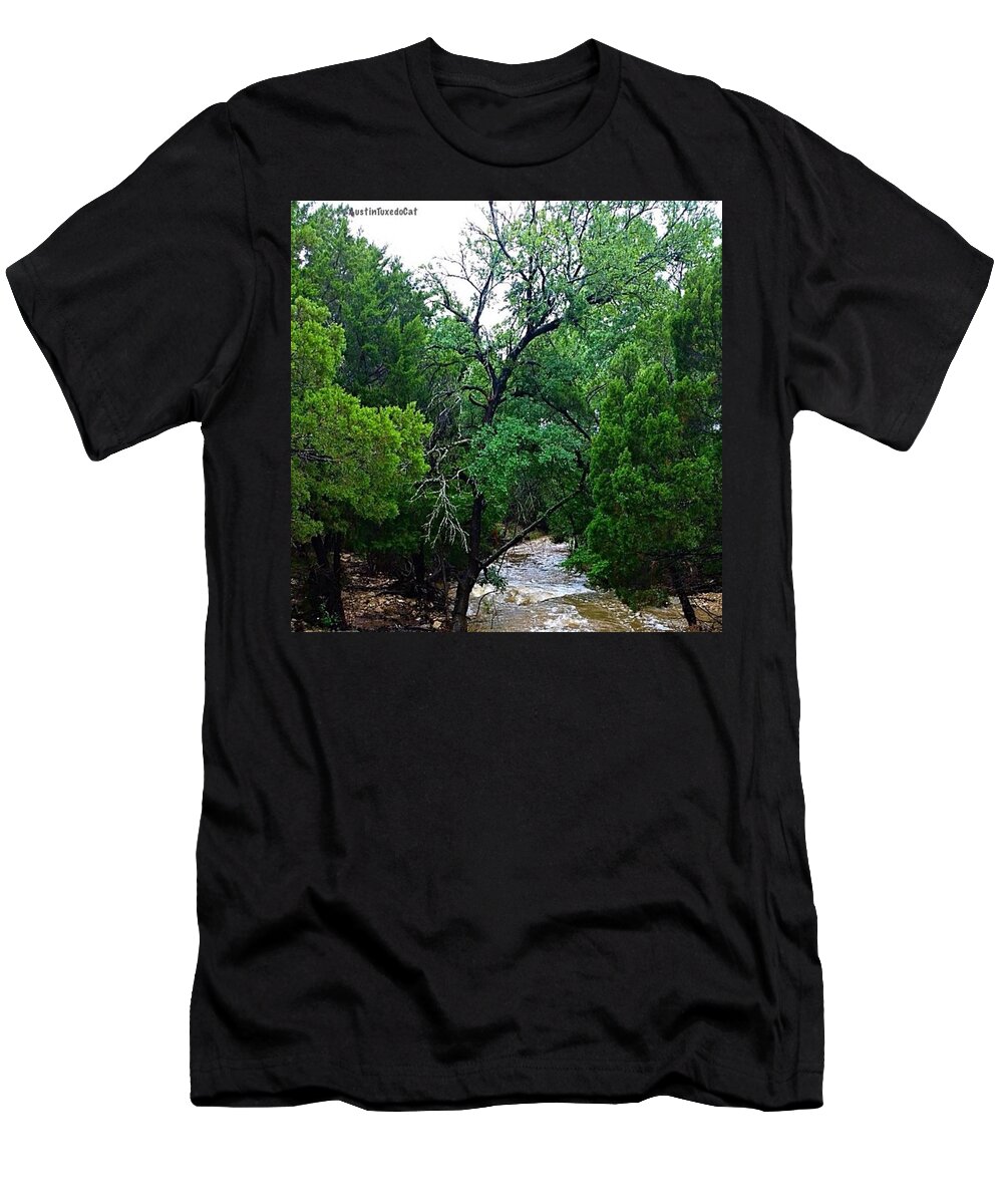 Keepaustinweird T-Shirt featuring the photograph It Always Seems To #flood On by Austin Tuxedo Cat