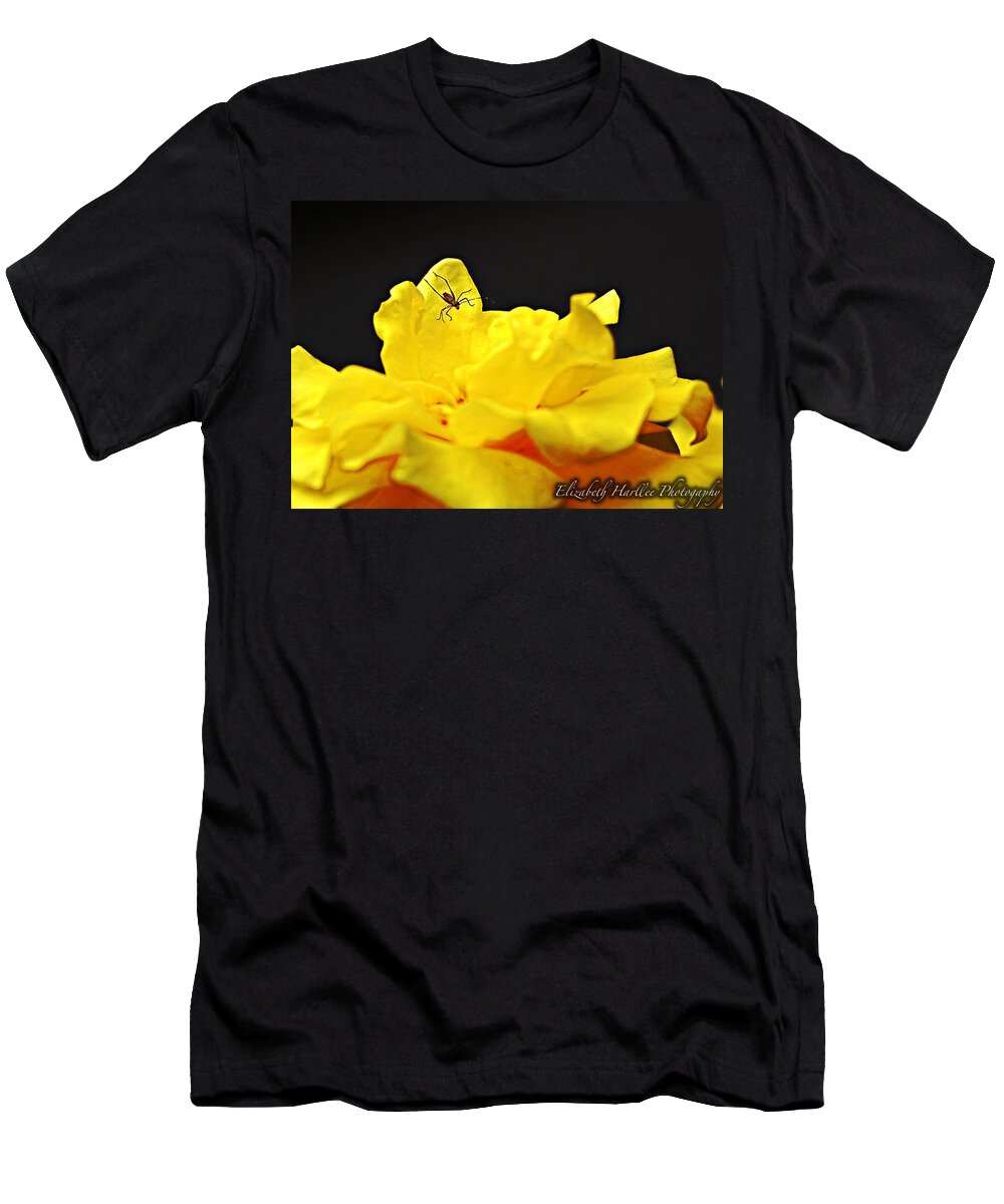  T-Shirt featuring the photograph Itsy Bitsy by Elizabeth Harllee