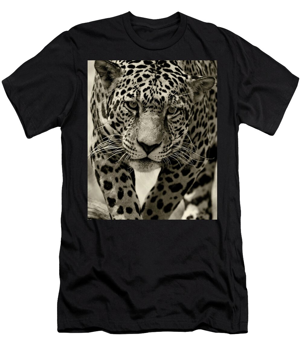 Jaguar T-Shirt featuring the photograph Jaguar in Black and White III by Sandy Keeton