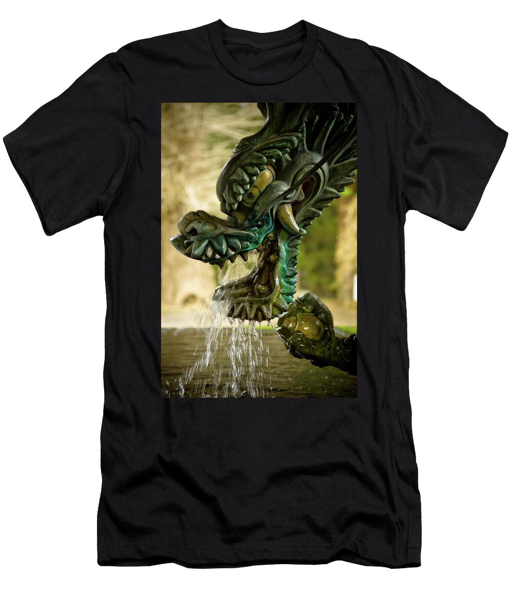 Fountain T-Shirt featuring the photograph Japanese Water Dragon by Sebastian Musial