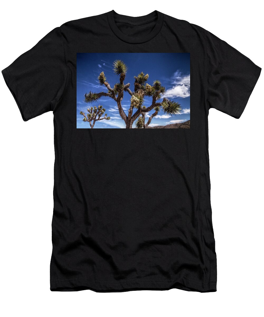 California T-Shirt featuring the photograph Joshua Trees and Clouds in Joshua Tree National Park by Randall Nyhof