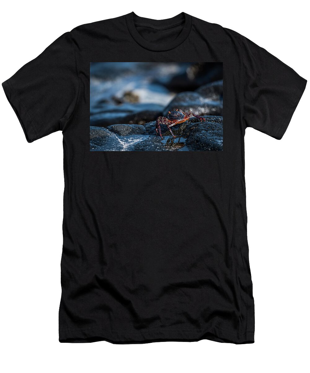 Galapagos T-Shirt featuring the photograph Juvenile Sally Lightfoot crab on black rocks by Ndp 