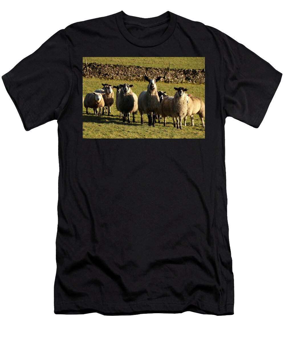 Sheep T-Shirt featuring the photograph King of the sheep by Lukasz Ryszka