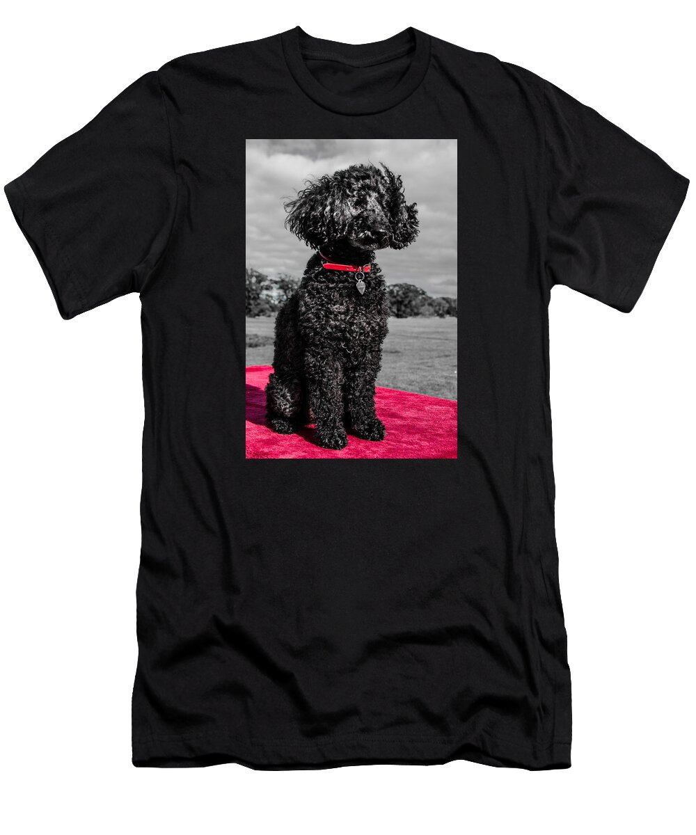 Layla T-Shirt featuring the photograph Layla by Martina Fagan