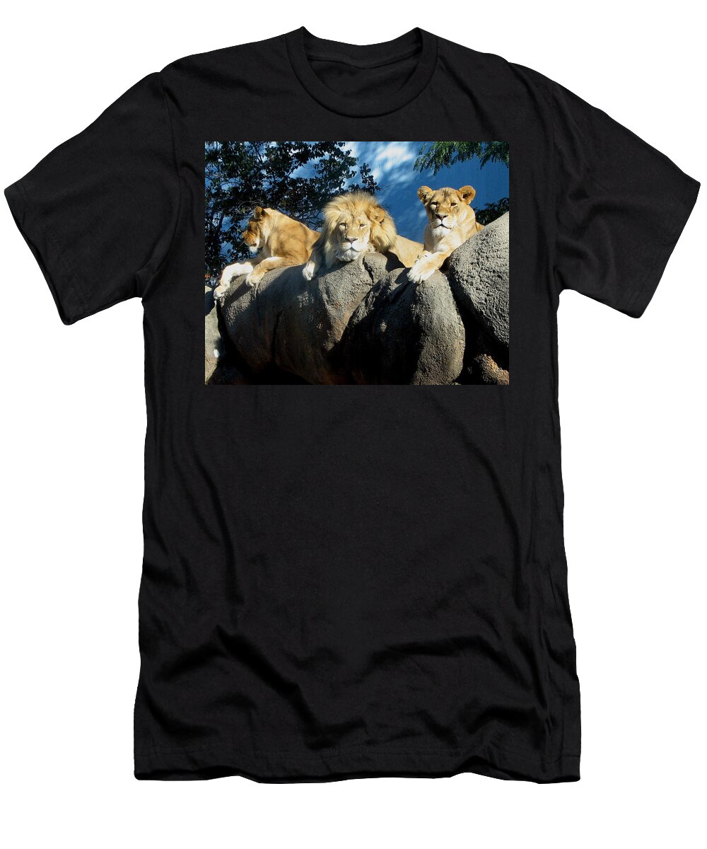 Lion T-Shirt featuring the photograph Lazy Day Lions by George Jones
