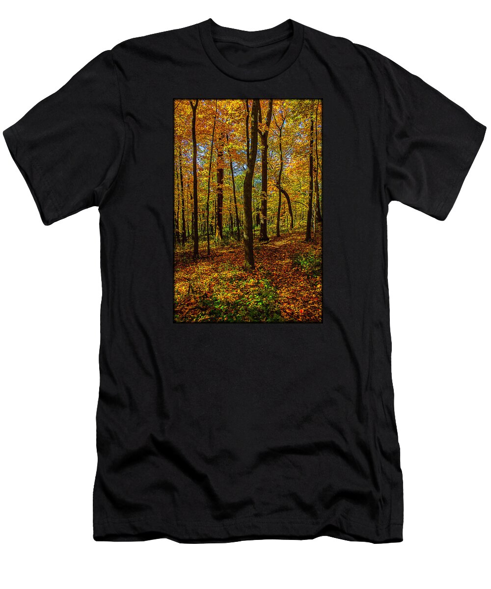 Illinois T-Shirt featuring the photograph Left or Right? Lost in the Woods by Roger Passman