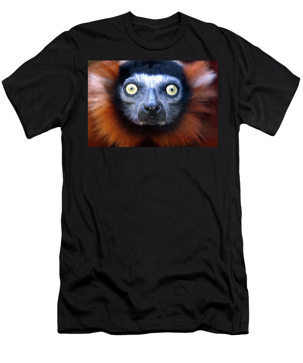 Animal T-Shirt featuring the photograph Lemur glare by Alan Look