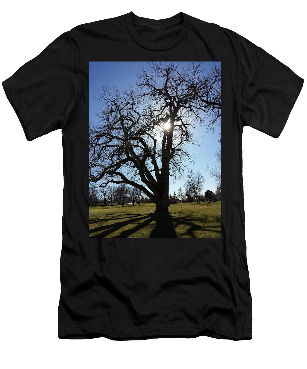 Indian Tree T-Shirt featuring the photograph Let The Sun Shine Through by Lorraine Baum